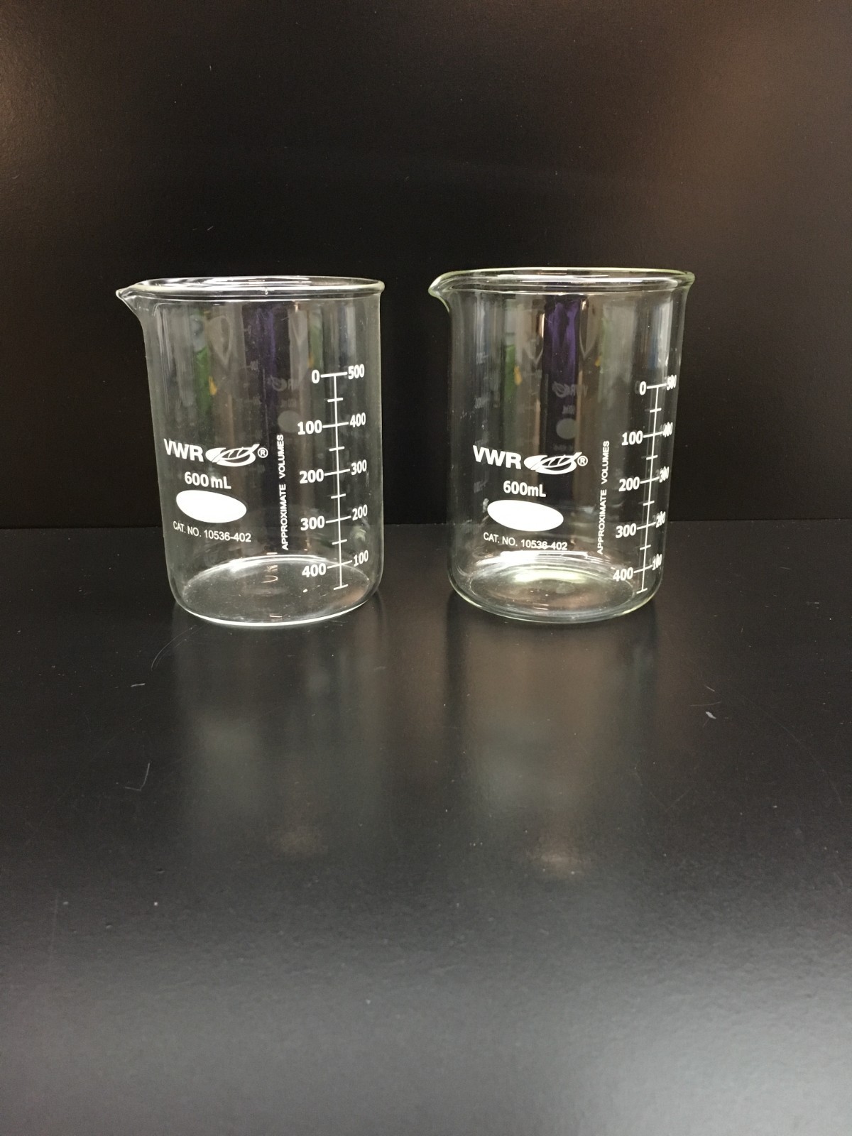 VWR Cat No 10536-402 Heavy-Duty Low Form Beakers 600 mL Lot 2 PCS