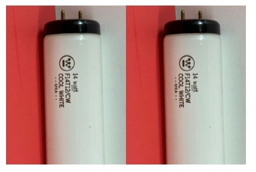 2-PK F14T12/CW 14W 4100K FLUORESCENT LIGHT BULB Cool White F14 T12 NEW 259168
