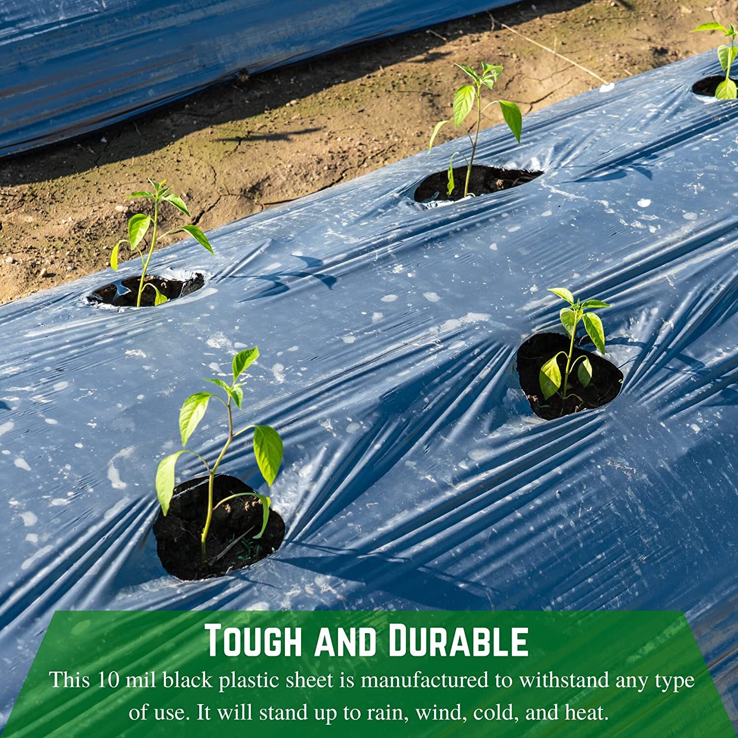 Poly Cover – 10 Mil Black Plastic Sheeting