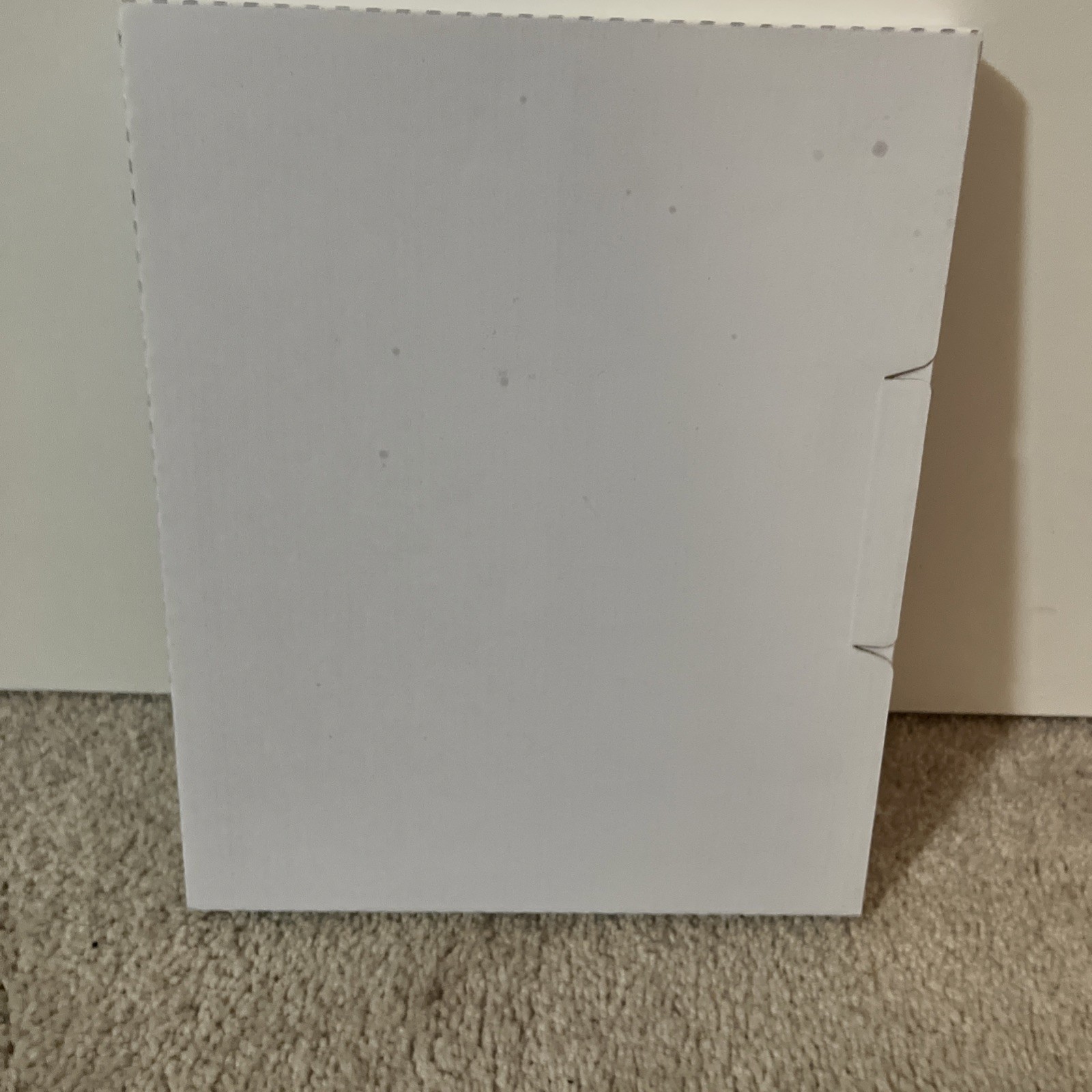 Business Source Top Loading Sheet Protector – Letter 8.50″ X 11″ – (bsn74551)