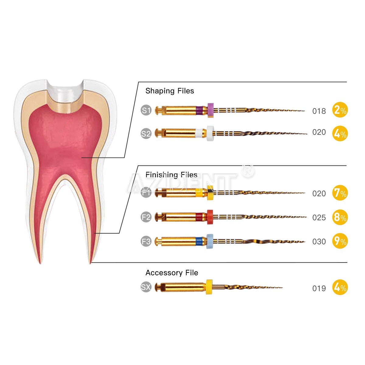 AZDENT Dental Endo Rotary Files Gold Taper NITI Endodontic Root Files SX-F3 25MM