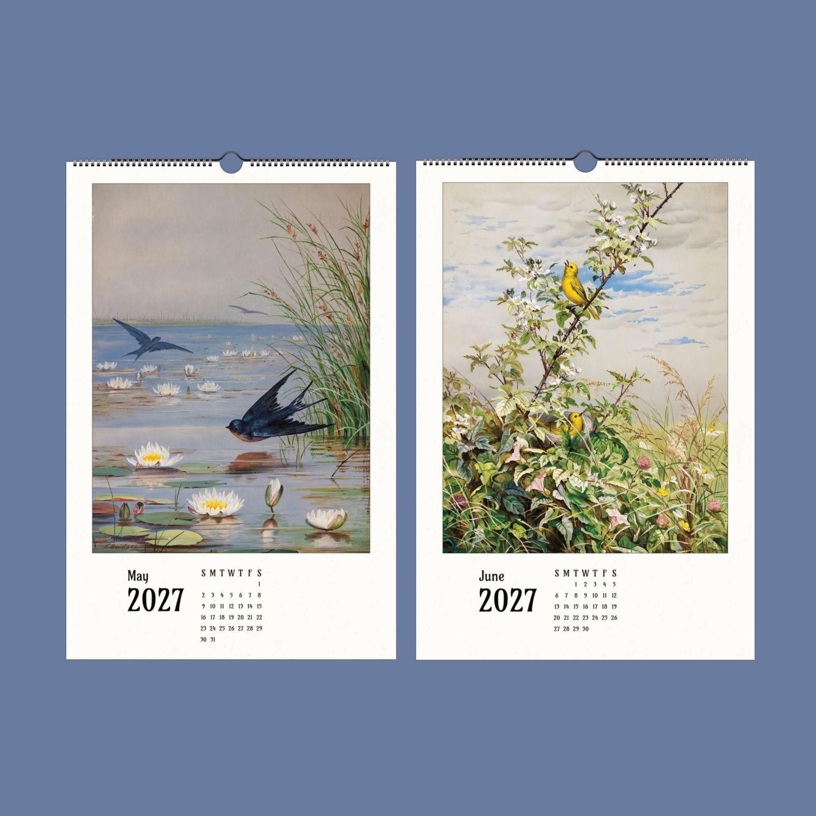 2027 Fidelia Bridges Wall Calendar – Botanical Bird Watercolor Gift, 11×16.5″