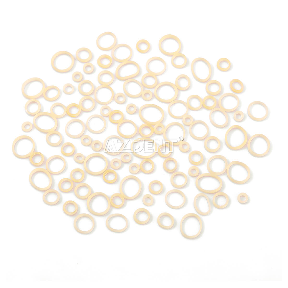 AZDENT Bandas Elásticas Ortodoncia Látex Elásticos Dental Elastics Rubber Bands