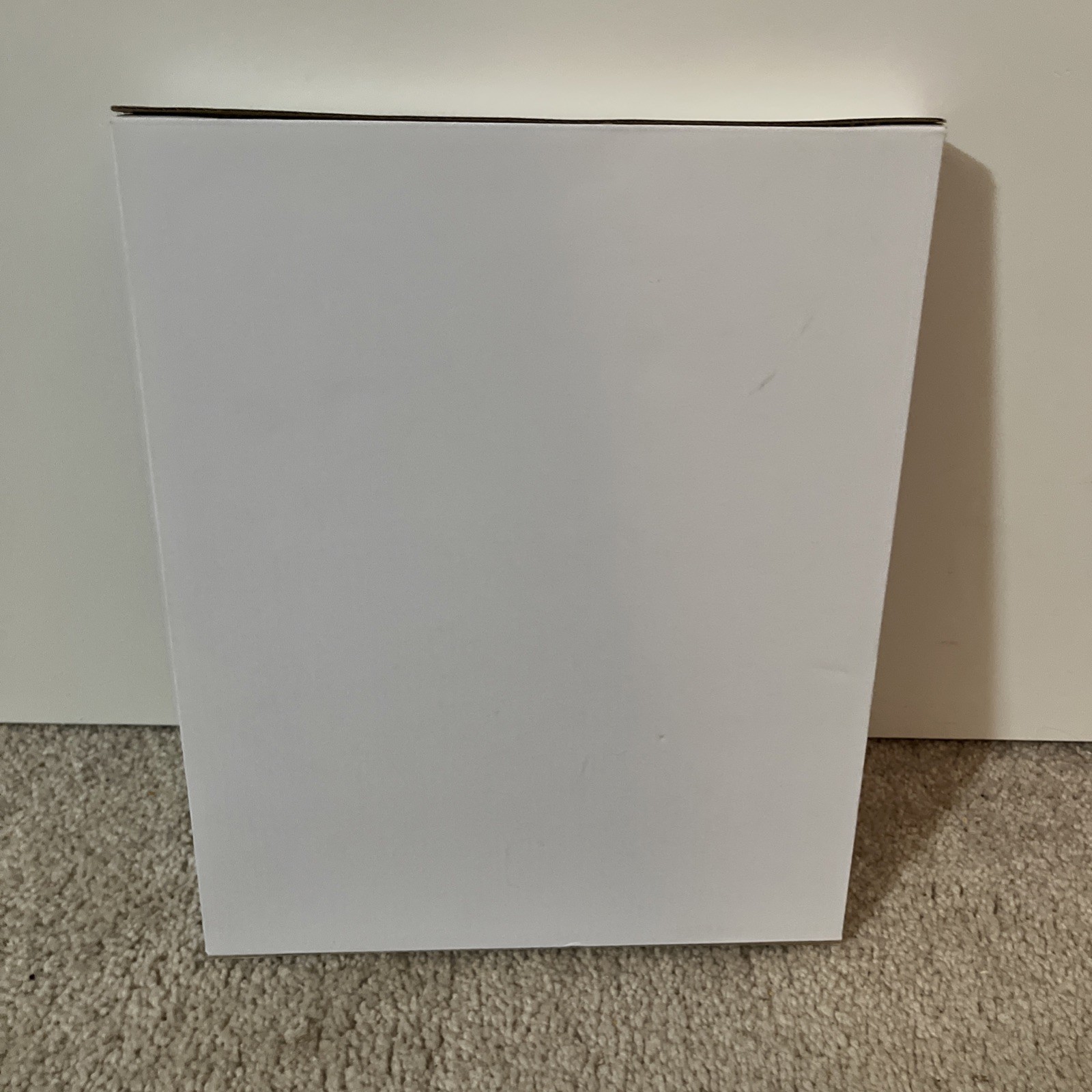 Business Source Top Loading Sheet Protector – Letter 8.50″ X 11″ – (bsn74551)