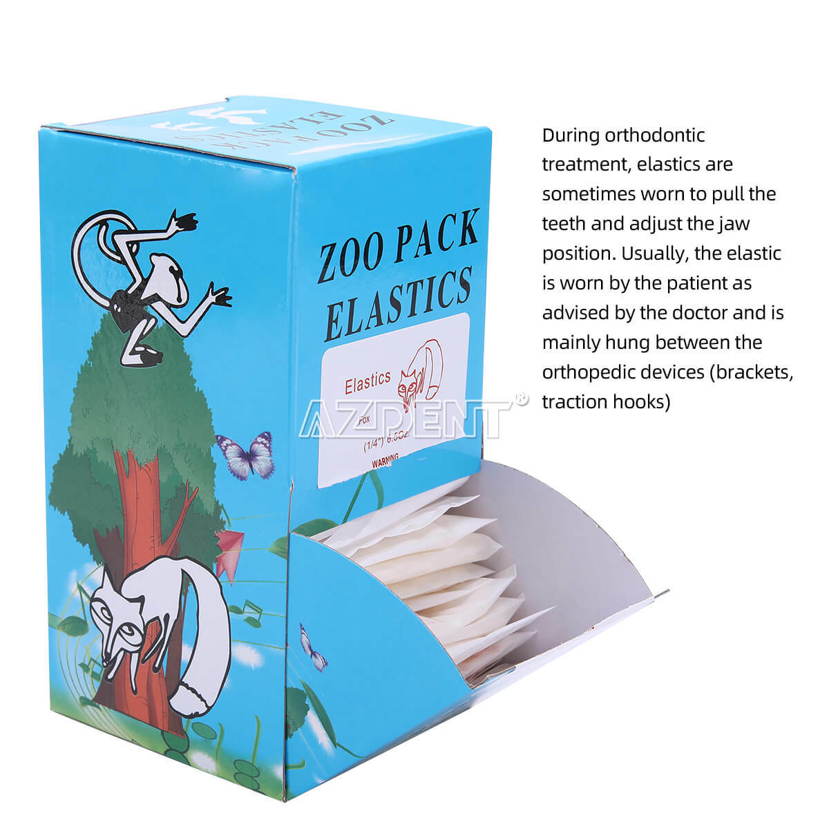 AZDENT Bandas Elásticas Ortodoncia Látex Elásticos Dental Elastics Rubber Bands