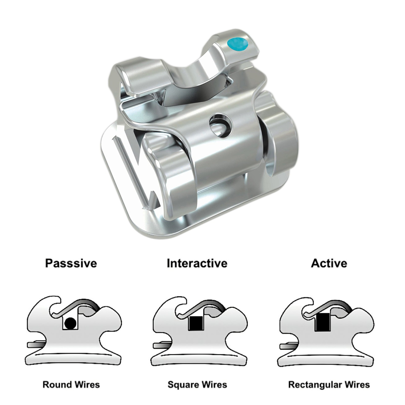 Orthodontic Self Ligating Brackets AO Empower Style Creative Dental Roth MBT 022