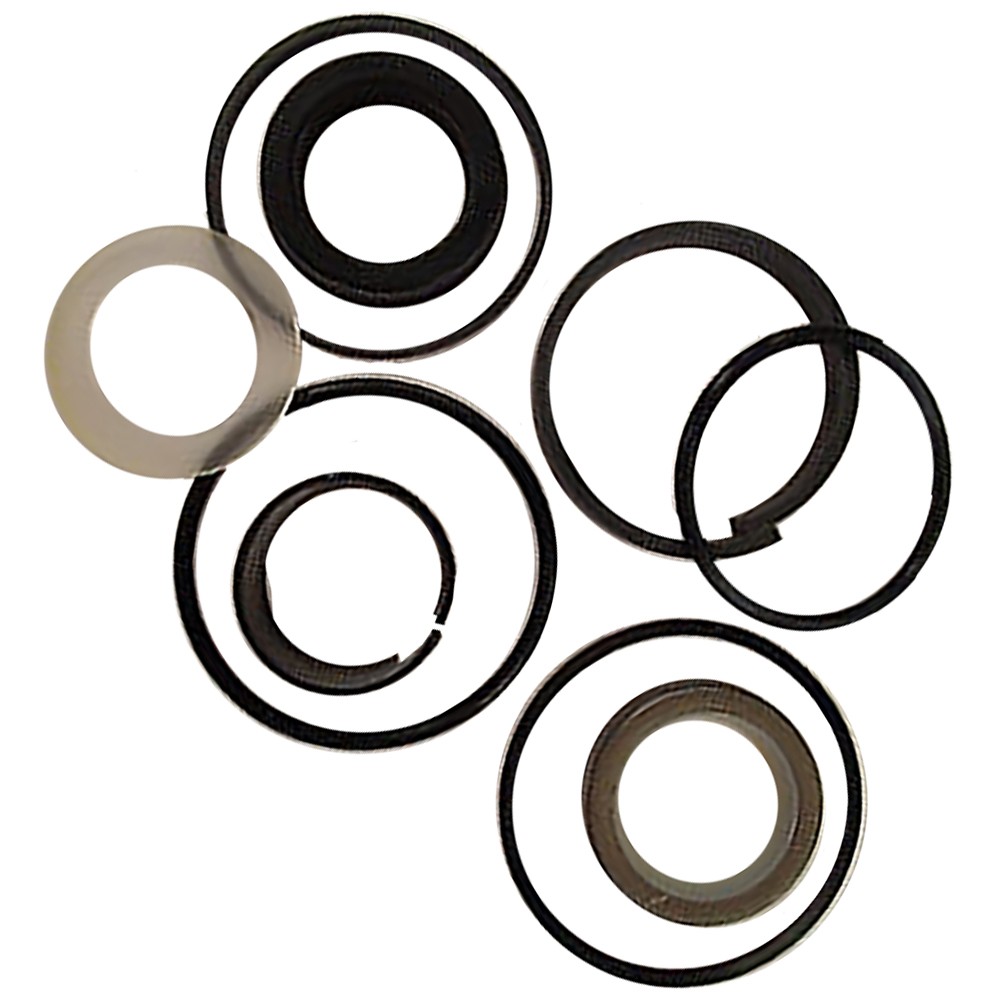 Fits Case G109476 G105507 Hydraulic Cylinder Seal Kit