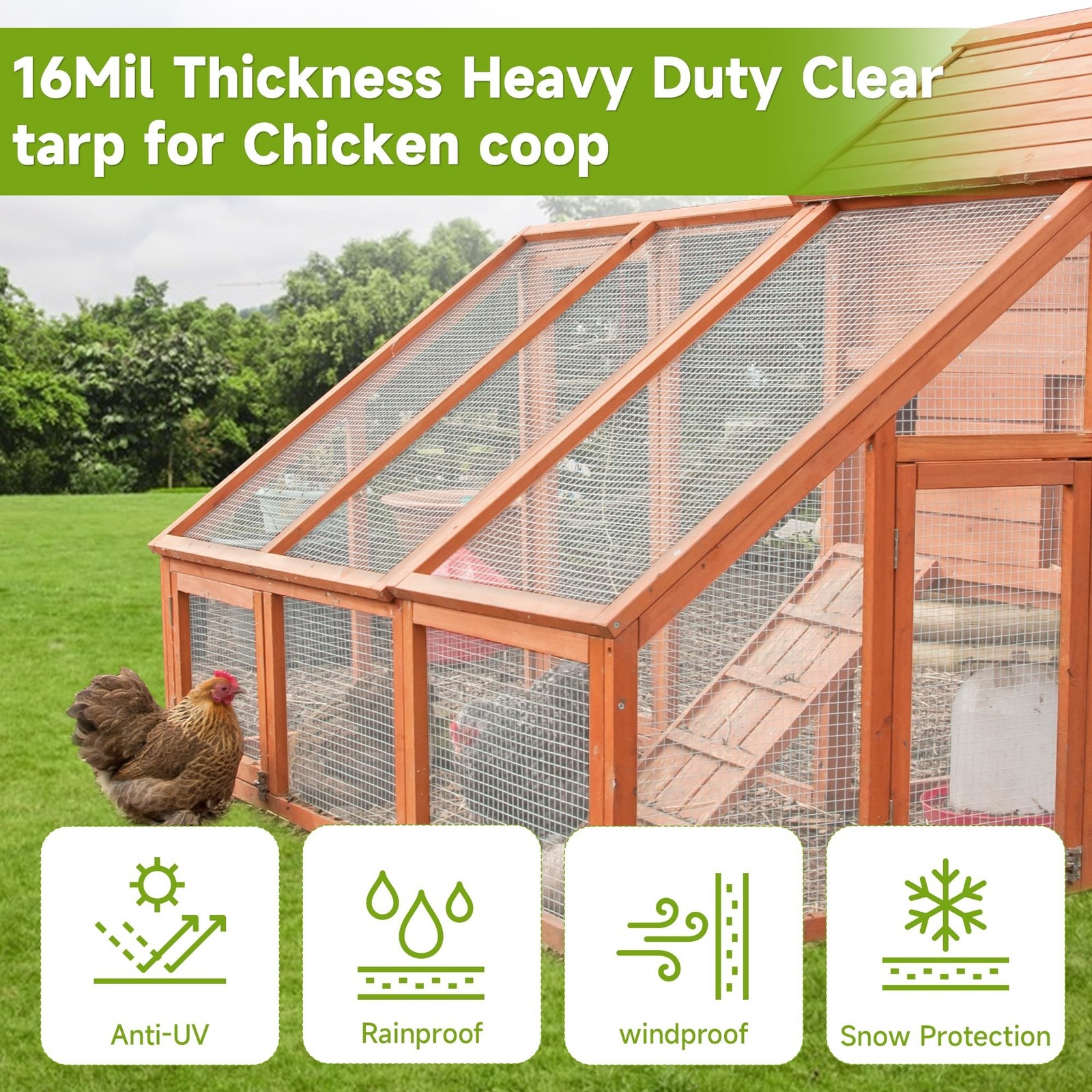 16Ftx20Ft Greenhouse Cover,Clear Plastic Tarps,16Mil Heavy Duty Waterproof ta…