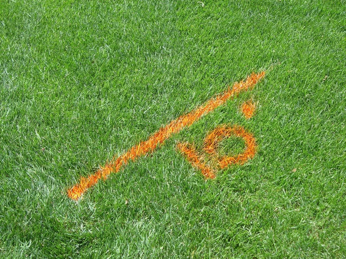 AF1600 Yellow Inverted Striping Paint 12-Pack for Athletic Fields