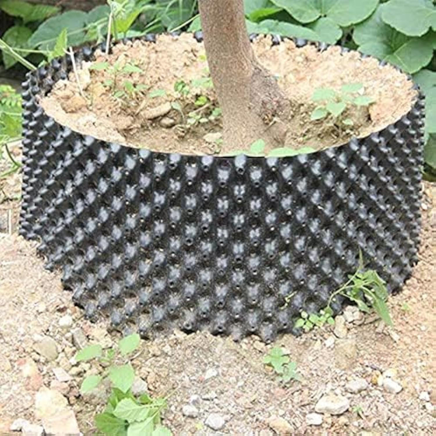 Air Pruning Containers, 25 Gallon Air Pruning Planters, 100 Liter 20″ X 20″ D/H