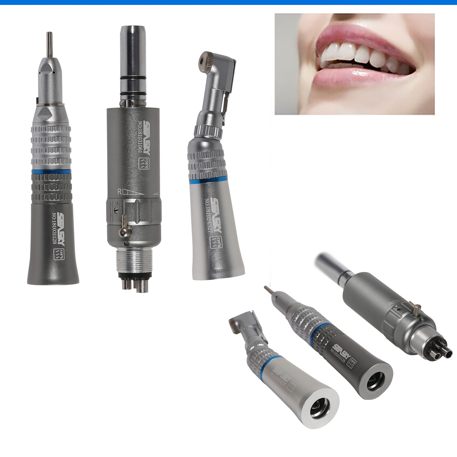 SEASKY Dental Slow Low Speed Handpiece Contra Angle Straight Motor 2/4Hole /Cups