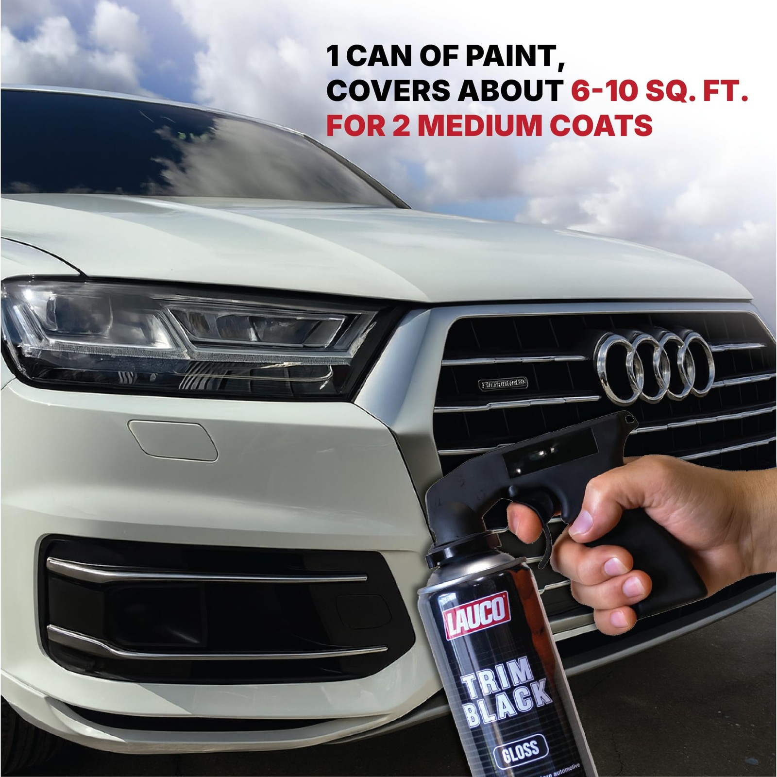 LAUCO Trim Black Gloss Automotive Spray Paint – 13 oz Aerosol Can for Plastic,
