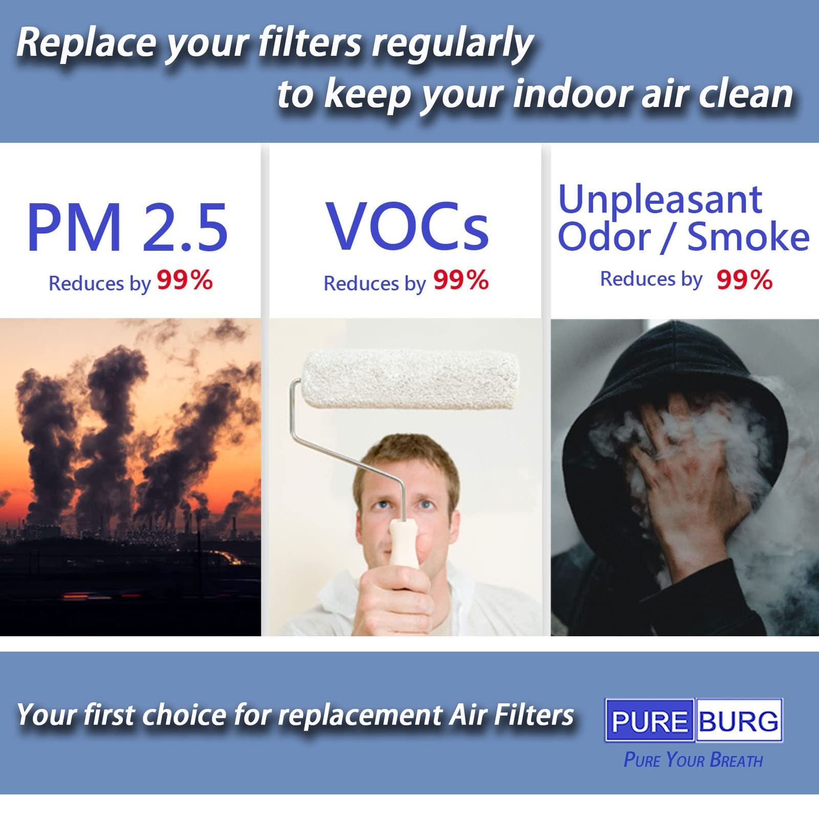 PUREBURG Replacement Filter Compatible With Dupray Bloom Air Purifier AIR030W…