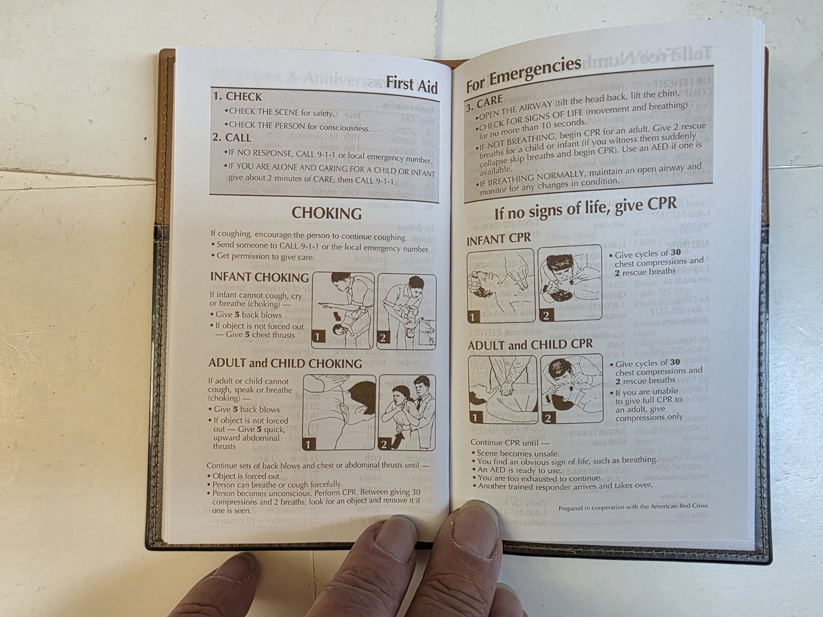 2027 Pocket Pal Calendar Personal Planner and Diary — Brand New In Stock Now